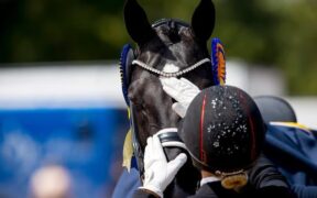 Dressage: Blue Hors interrompe temporaneamente la partecipazione alle gare