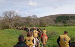 Equiraduno dell'Anno Santo 2025, la tratta piemontese in cammino verso Roma©