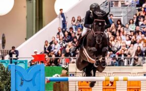Grand Prix Internazionali: ecco i podi (#week 12) 1