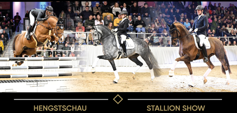 I migliori stalloni Schockemöhle dal vivo a Münster-Handorf (GER)