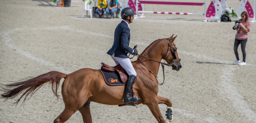 Lo stallone Falko de Hus è deceduto a seguito di una caduta