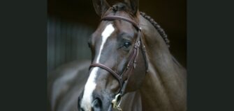 Lo stallone francese Jarnac ci ha lasciato 1