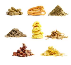 Ma i cavalli sanno riconoscere gli alimenti dannosi per la loro salute? Scopriamolo con Cortal 2