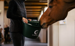 Ma i cavalli sanno riconoscere gli alimenti dannosi per la loro salute? Scopriamolo con Cortal 3