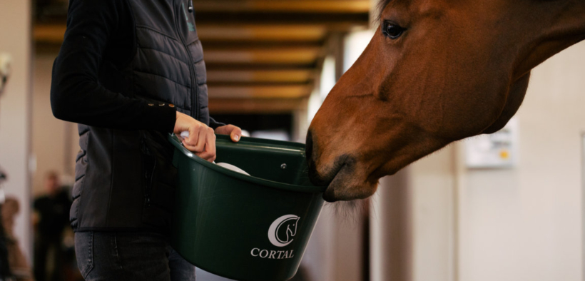 Ma i cavalli sanno riconoscere gli alimenti dannosi per la loro salute? Scopriamolo con Cortal 3