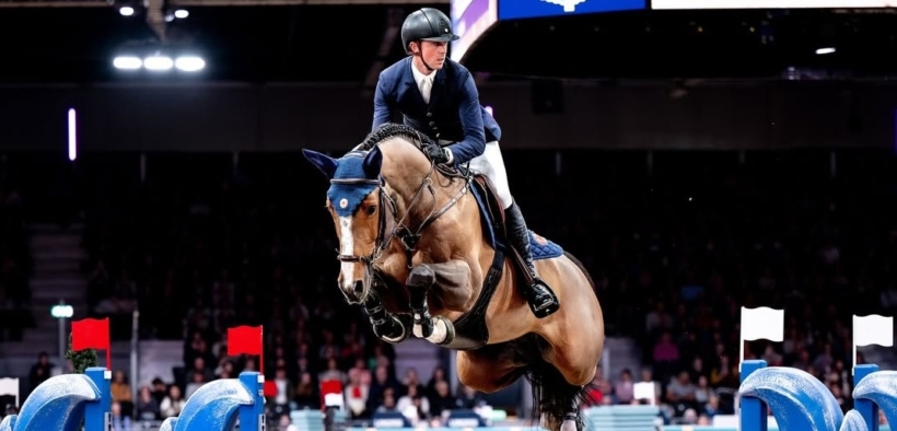 Quali cavalli hanno realizzato il maggior numero di netti nel 2024?