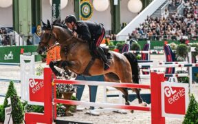 Saut Hermès di Parigi: Emanuele Gaudiano sfiora la vittoria nella 150 LR (CSI5*)
