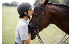 Sei un proprietario responsabile? Il sondaggio dell'Istituto Zooprofilattico Sperimentale dell'Abruzzo e del Molise)