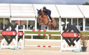 Toscana Tour: Bicocchi sul podio della 145 LR, vince il Brasile (CSI4*)