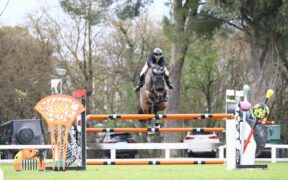 Toscana Tour: Gabriele Grassi sul podio nella 145 inaugurale (CSI4*)