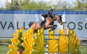 Toscana Tour: Matteo Zamana in vetta nella 145 LR Silver Tour (CSI4*)