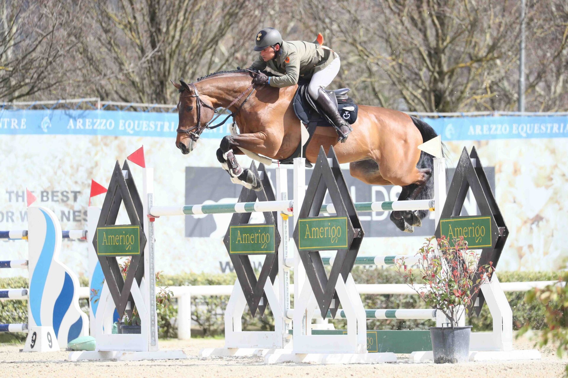 Toscana Tour: Nico Lupino al comando nella 145 LR (CSI3*)