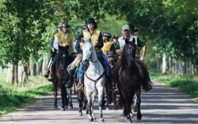 A Siena il 30 aprile si terrà l'Horse Green Day
