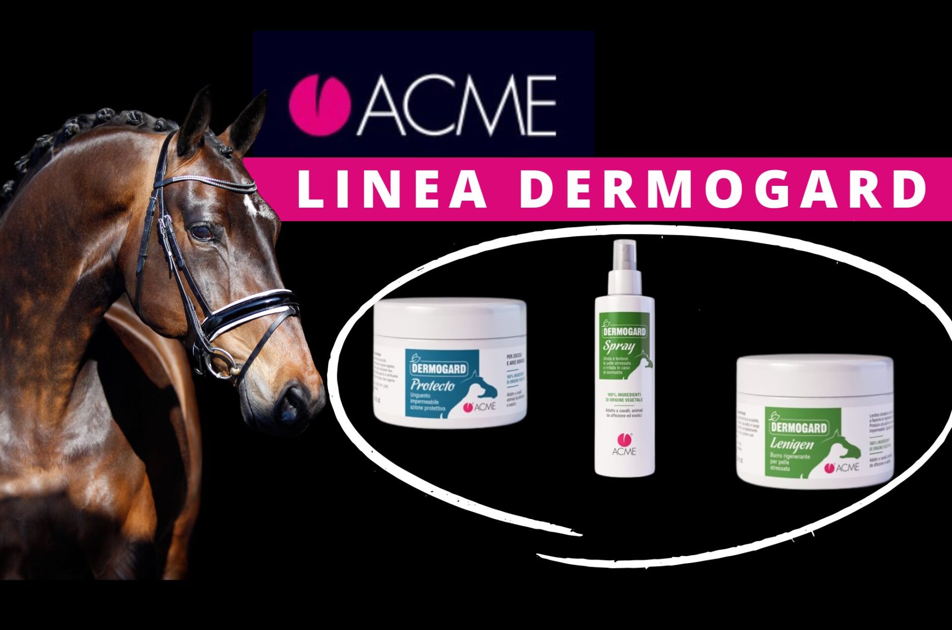 ACME - Linea Dermogard: soluzioni naturali per la salute dei cavalli 5