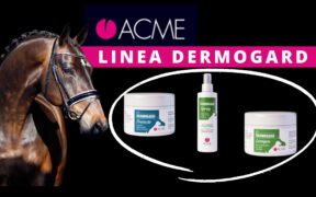 ACME - Linea Dermogard: soluzioni naturali per la salute dei cavalli 5