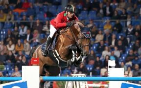 Chaclot e Faltic HB hanno ottenuto il riconoscimento di riproduttori KWPN