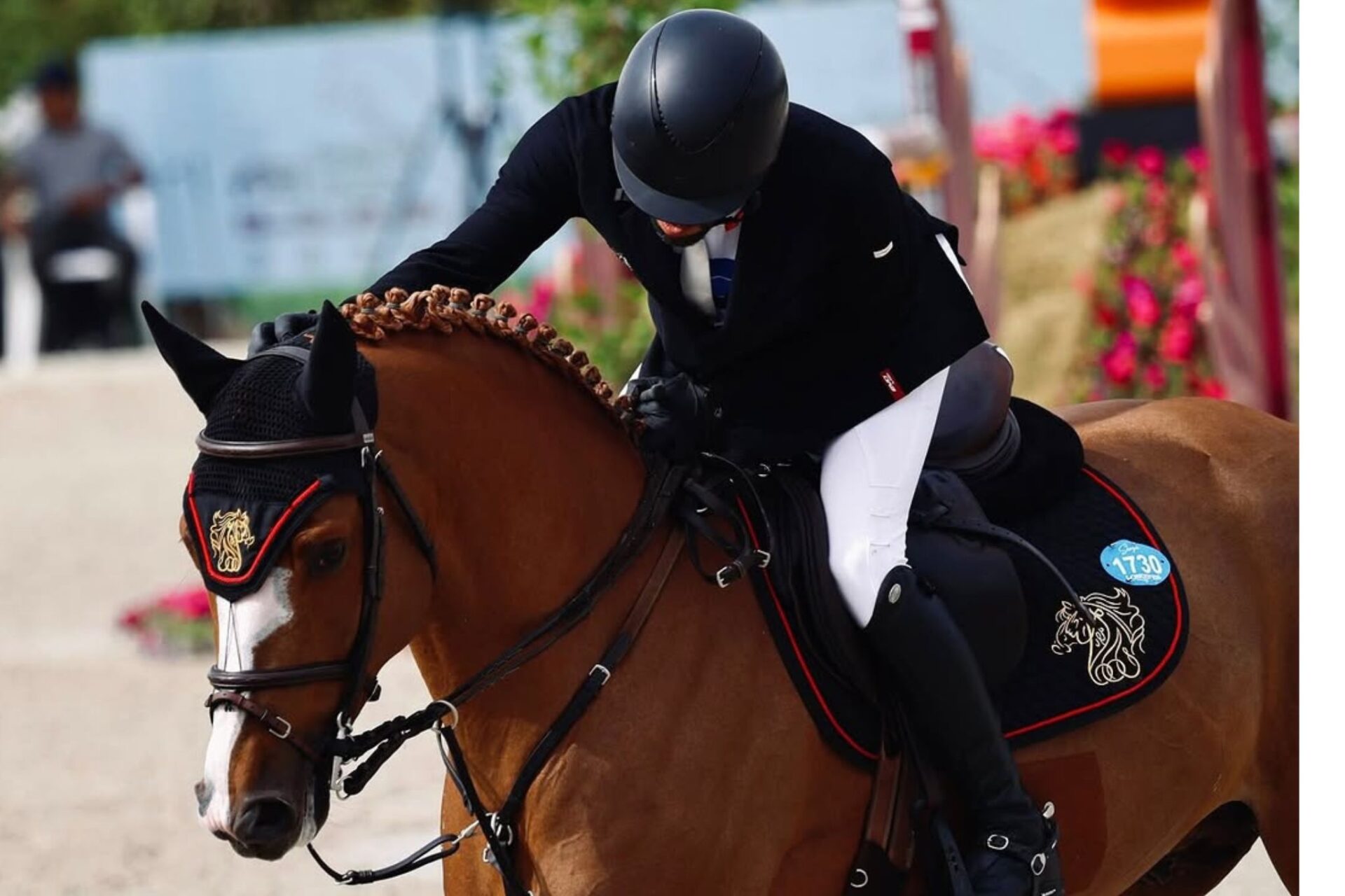Da campione delle aste a cavallo sportivo: investimento o illusione?