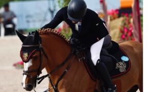 Da campione delle aste a cavallo sportivo: investimento o illusione?