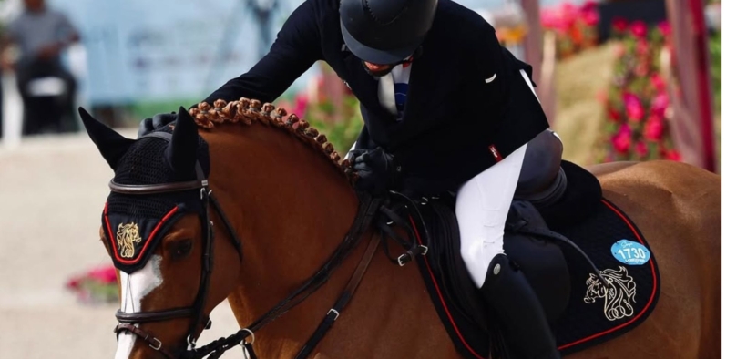 Da campione delle aste a cavallo sportivo: investimento o illusione?