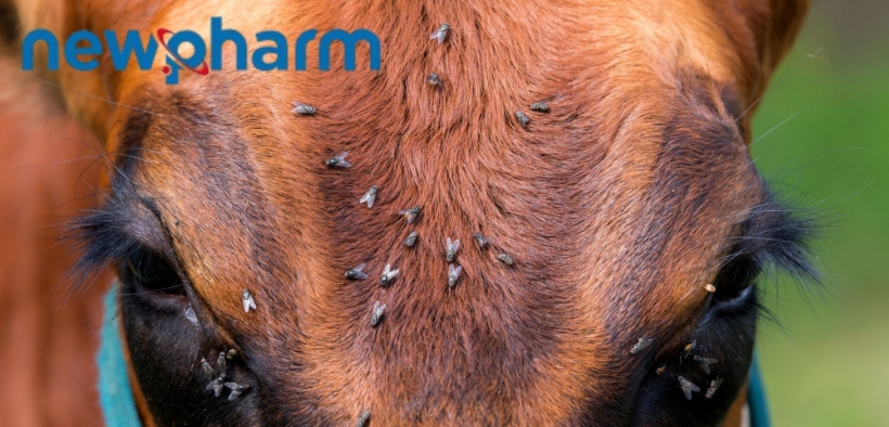 Newpharm®: eleva la biosicurezza in allevamento, ma con consapevolezza 4