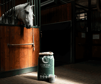 Può l'alimentazione influenzare l'insorgenza della laminite? Focus con Cortal Horse