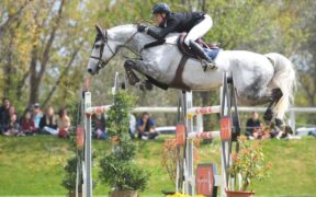 Toscana Tour: Gaudiano miglior azzurro nel GP di Arezzo, vince Jack Ryan (CSI4*)