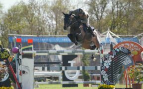 Toscana Tour: Nico Lupino sfiora la vittoria nella 150 LR (CSI4*)