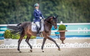 Vittorie e piazzamenti azzurri nel Dressage e Para Dressage internazionale
