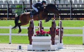 A Roberto Consumati la 145 del CSI4* di Gorla Minore