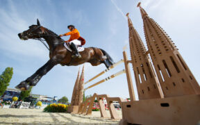 Bubalu VDL andrà in pensione nella scuderia di Jur Vrieling