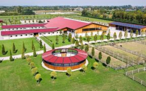 Claudia Mandruzzato: una giovane imprenditrice che lotta per il suo mondo