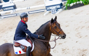 Donatello d’Auge ritorna al top della WBFSH Breeder Ranking