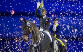 Dressage: in arrivo il primo puledro di TSF Dalera BB