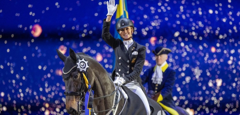 Dressage: in arrivo il primo puledro di TSF Dalera BB