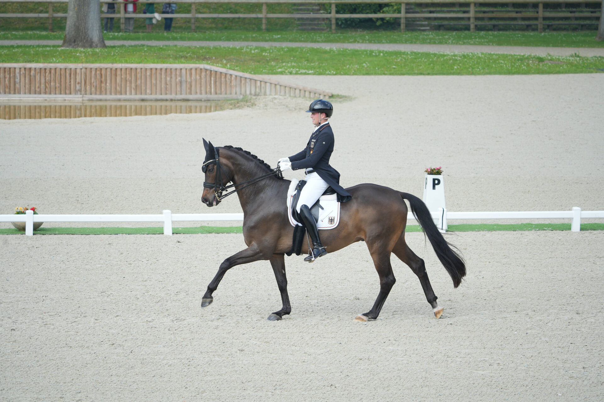 Dressage: la Germania domina nella Nations Cup™ di Compiègne 1