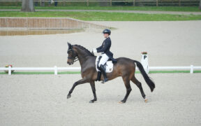 Dressage: la Germania domina nella Nations Cup™ di Compiègne 1