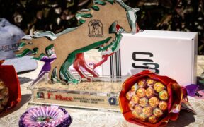 Gran Premi Naz. A5*: ecco i podi 99