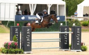 I 10 migliori cavali di 5 anni a Lanaken nel 2015, dove sono ora?