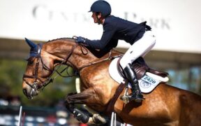 I migliori stalloni per numero di figli attivi nello sport internazionale