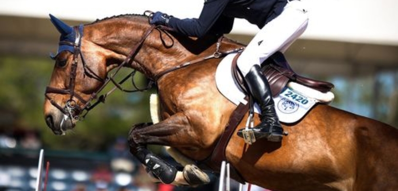 I migliori stalloni per numero di figli attivi nello sport internazionale