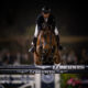 Kent Farrington è il nuovo leader della Longines FEI Ranking Jumping 1
