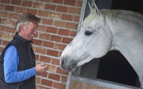 L'ascesa dei cavalli sportivi allevati con l'ICSI da stalloni tardivi