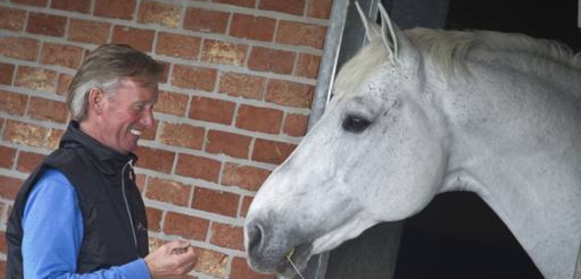 L'ascesa dei cavalli sportivi allevati con l'ICSI da stalloni tardivi