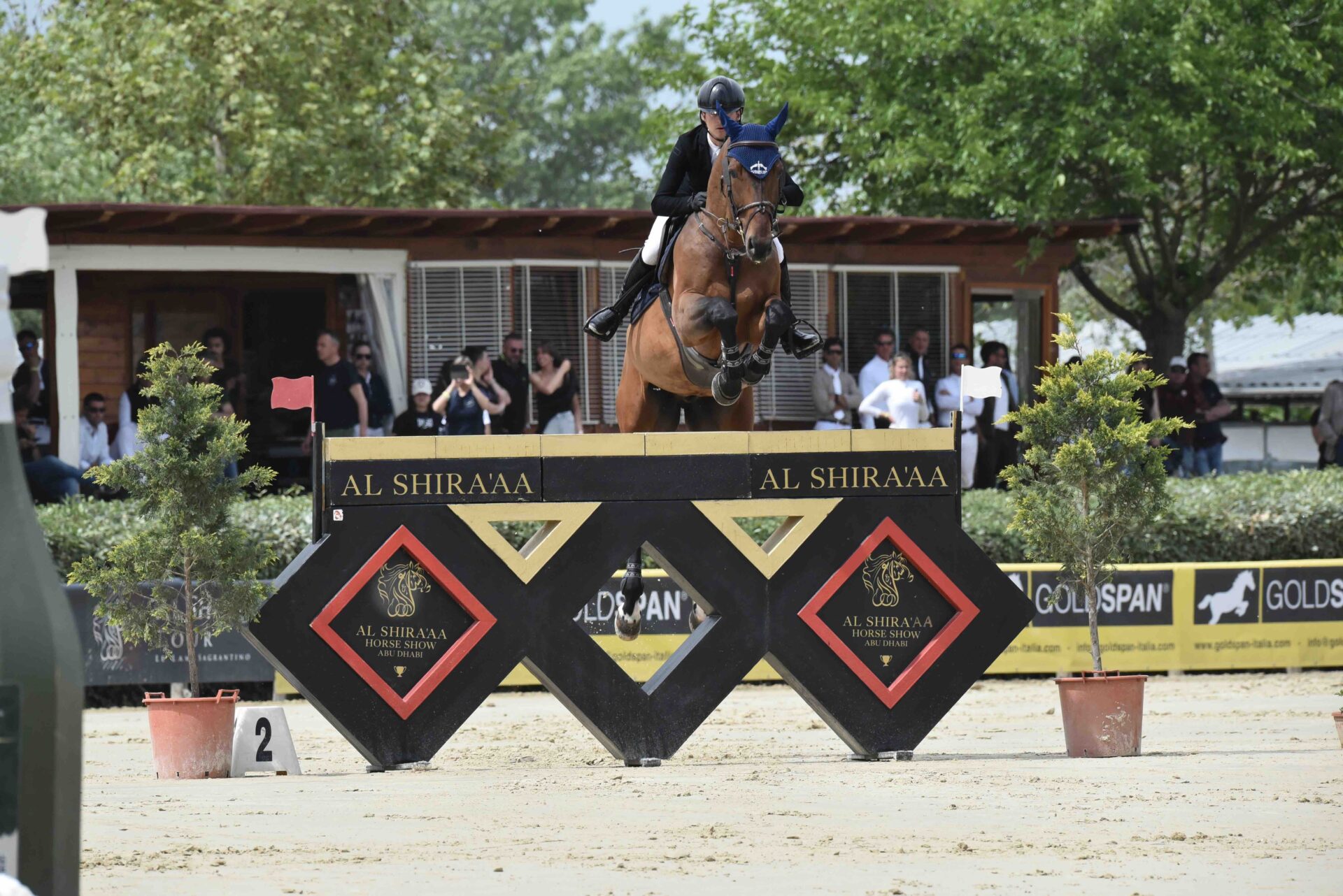 Neri Pieraccini sfiora il podio nel GP di Montefalco (CSI4*)