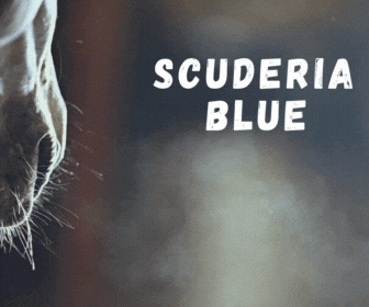 Passione e Innovazione di Scuderie Blue 1