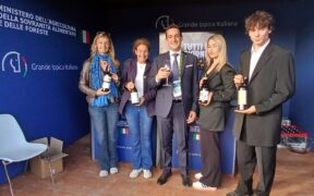 Piazza di Siena, tra viticultura e allevamento dei cavalli