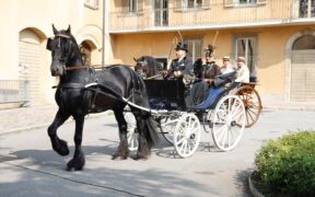 Si avvicina la 2^ edizione della "Voce del Cavallo" ad Alzano Lombardo