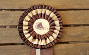 Simonetti e Spinelli sul podio nella 150 LR di Gorla Minore (CSI4*)