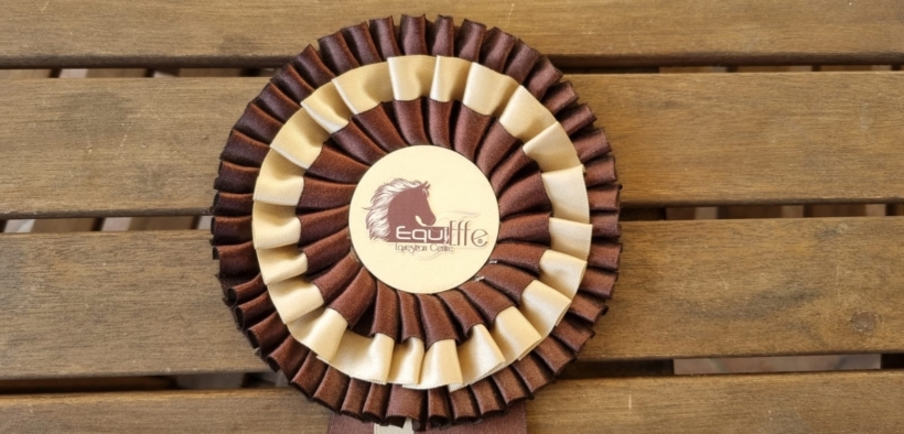 Simonetti e Spinelli sul podio nella 150 LR di Gorla Minore (CSI4*)