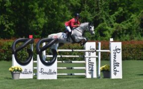 A Pius Schwizer il GP di Gorla Minore, Grassi e Mattioli in Top 10 (CSI2*)